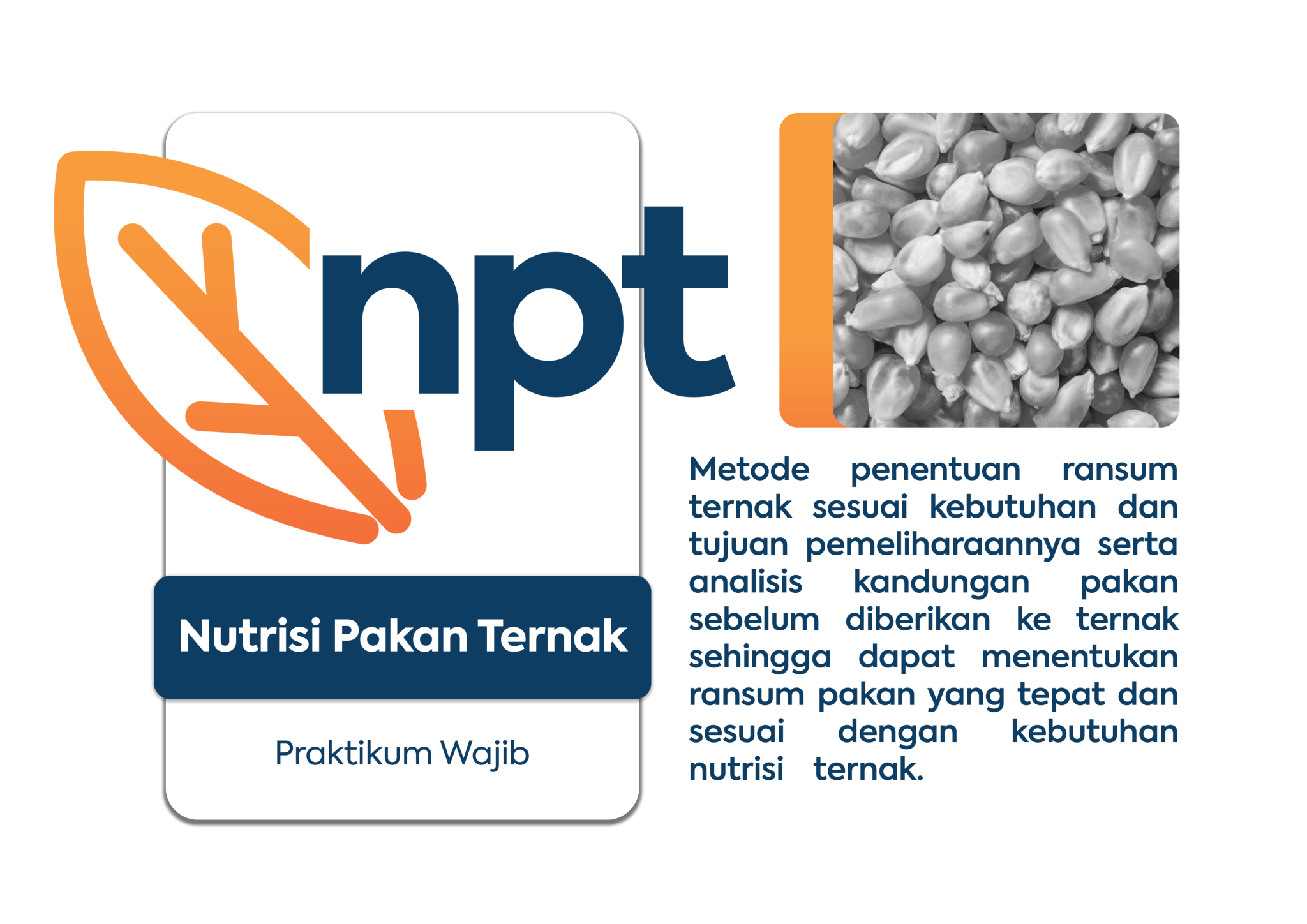 Praktikum – Laboratorium Ilmu Makanan Ternak